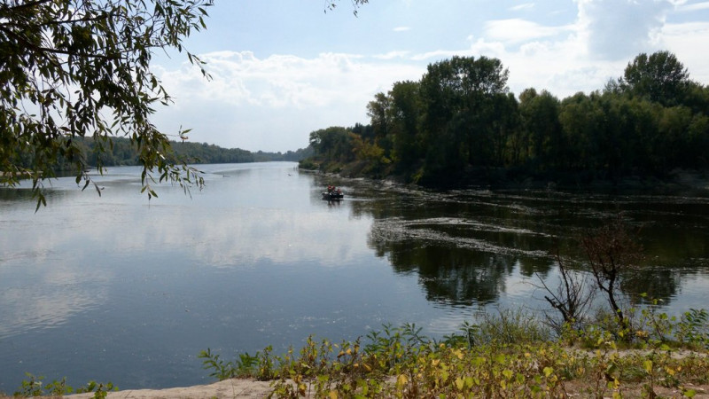 Перша риба та прозора вода: рибалки з Чернігівщини про відновлення річки Сейм після забруднення