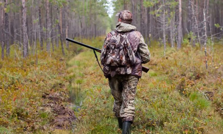 На Чернігівщині відстрілюватимуть хижих тварин