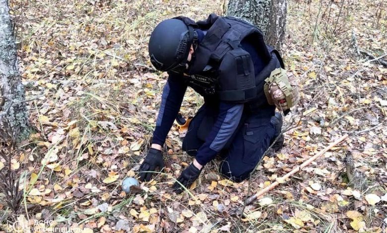 За добу на Чернігівщині сапери виявили сім вибухонебезпечних предметів