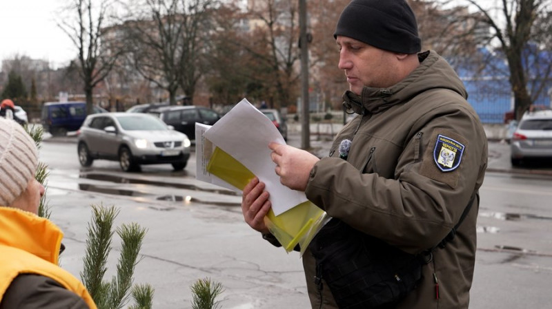 Ялинки та сосни у Чернігові: чи законно їх продають та які новорічні дерева популярні цьогоріч