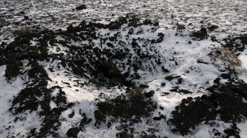 Що відомо про атаку "шахедами" двох сіл Комарівської громади на Чернігівщині, де загинули 11 корів