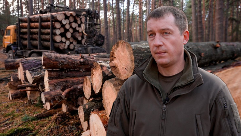 На Чернігівщині продавати ялинки почали раніше ніж торік: на скільки зросла вартість