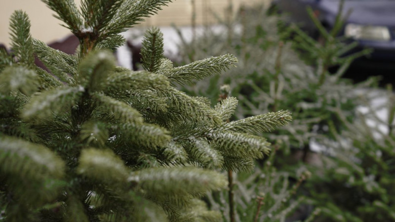 Графіки погодинних відключень електроенергії на Чернігівщині: які черги планують вимикати 9 грудня