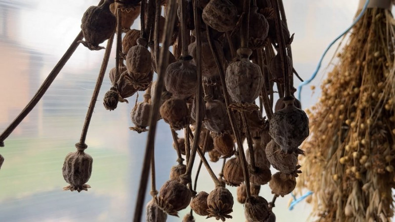 Близько 40 дідухів зі збіжжя виробили на Чернігівщині: історія жінки, яку цьому навчив батько, а його — дідусь