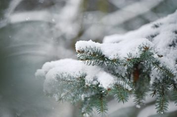 Чи буде сніг на Різдво та Новий рік: синоптичні передбачення