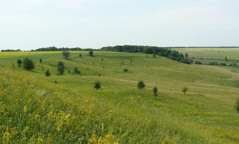 Для 19 заповідних об’єктів Чернігівщини розроблені проєкти землеустрою