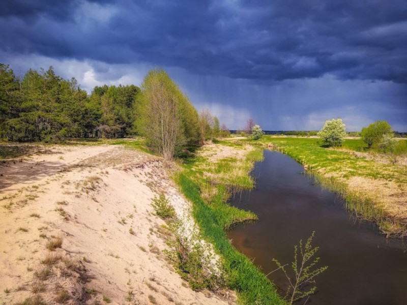 Пейзажі наче з фільму про дику природу: мальовнича Чернігівщина у фото (Фотофакт)