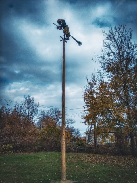 Пейзажі наче з фільму про дику природу: мальовнича Чернігівщина у фото (Фотофакт)