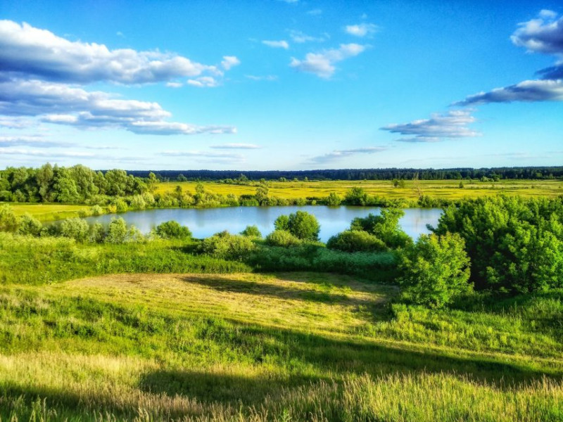 Пейзажі наче з фільму про дику природу: мальовнича Чернігівщина у фото (Фотофакт)