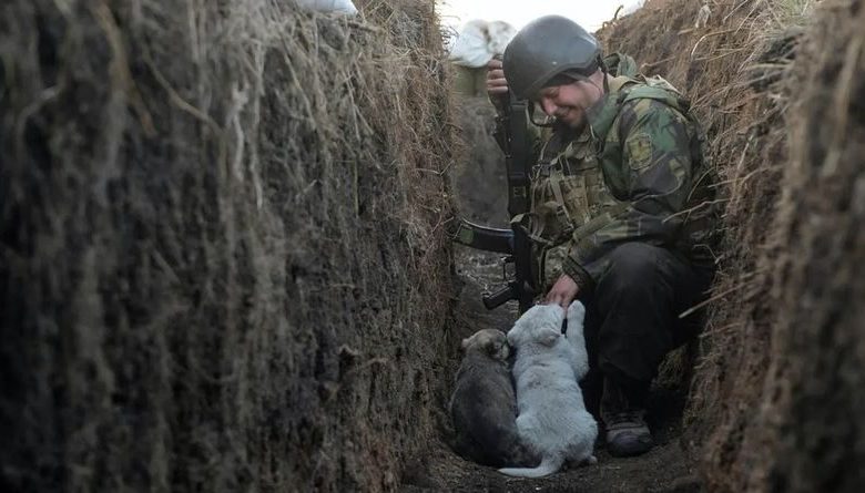 «Подаруй Різдво військовим»: чернігівці можуть стати таємними Сантами для українських захисників