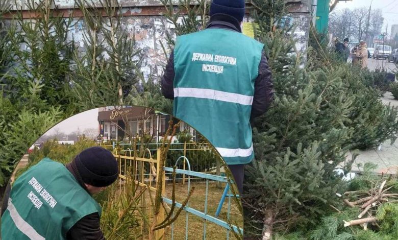 Протокол і претензія майже на вісімсот гривень за зрубану сосну: на Чернігівщині тривають рейди екоінспекторів