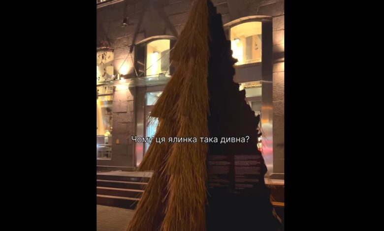 Символ незламності: унікальна ялинка з колосками з Лукашівки з’явилася в Києві (Відео)