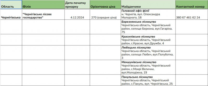 В лісництвах Чернігівщини запрацювали ярмарки ялинок: скільки коштує основний різдвяний атрибут