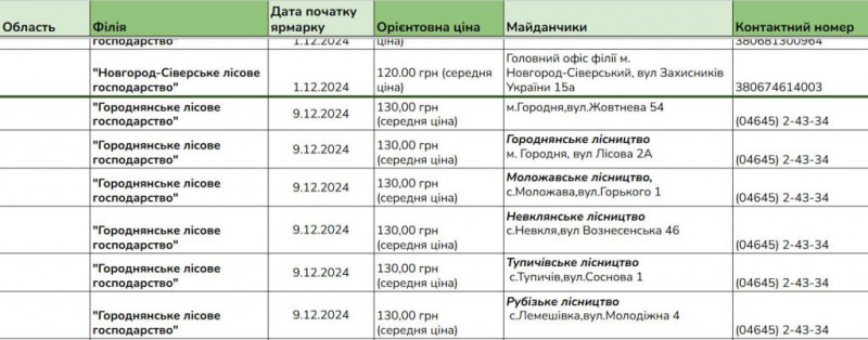 В лісництвах Чернігівщини запрацювали ярмарки ялинок: скільки коштує основний різдвяний атрибут