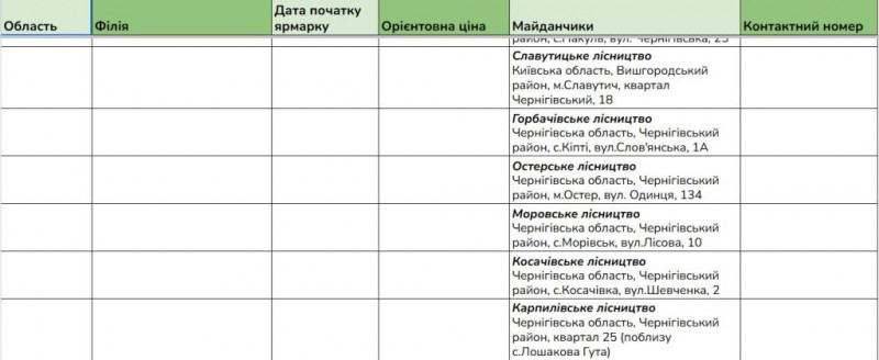 В лісництвах Чернігівщини запрацювали ярмарки ялинок: скільки коштує основний різдвяний атрибут