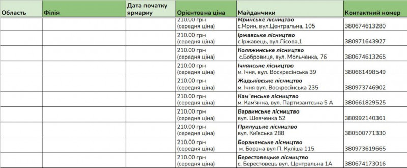 В лісництвах Чернігівщини запрацювали ярмарки ялинок: скільки коштує основний різдвяний атрибут