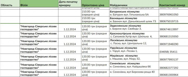 В лісництвах Чернігівщини запрацювали ярмарки ялинок: скільки коштує основний різдвяний атрибут