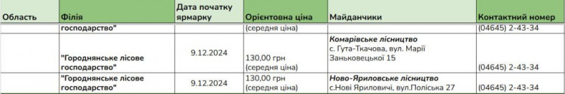 В лісництвах Чернігівщини запрацювали ярмарки ялинок: скільки коштує основний різдвяний атрибут