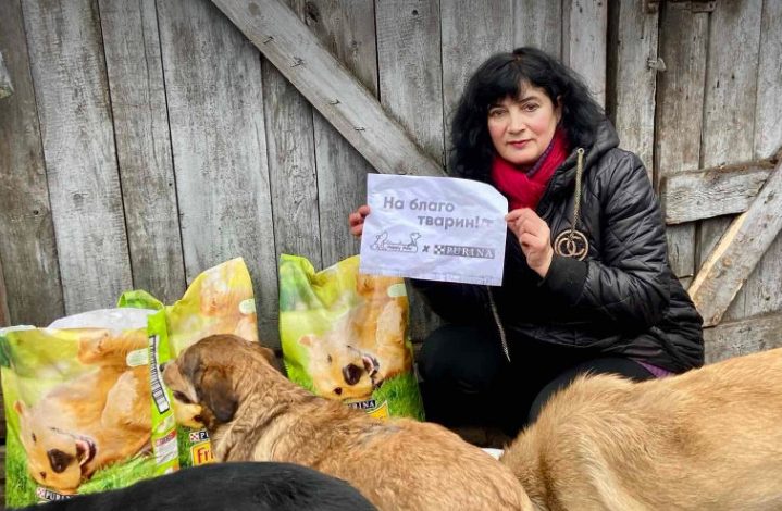 Вчителька музики з Семенівки опікується нічийними тваринами навіть під обстрілами