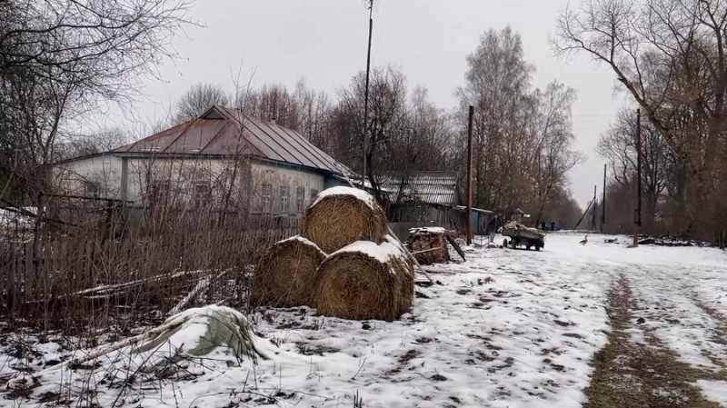 "Дикі звірі заходять частіше, ніж люди": як живуть останні жителі села на прикордонні Чернігівщини