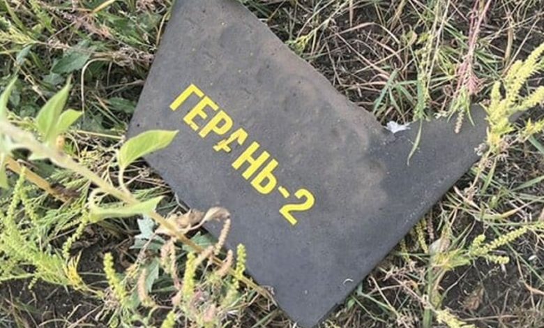 На Чернігівщині уламки безпілотника «Герань-2» впали на приватний будинок