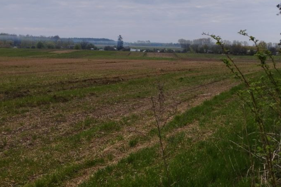 Військовий аграрій з Чернігівщини відновлює поля, які за два роки його служби поросли бур’яном