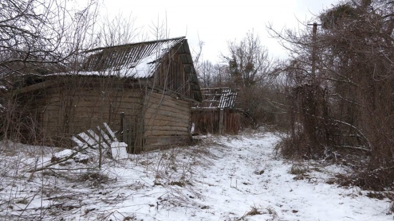 Село лише на паперах: у Ляшківцях на Чернігівщині сім років ніхто не живе