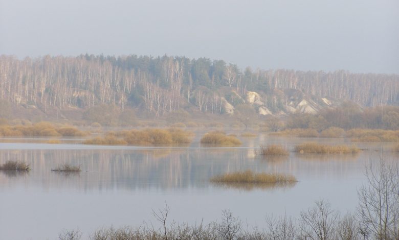 На Чернігівщині розташовується своя українська тайга (Фото)