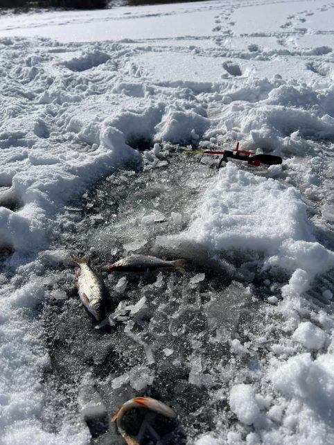 На Чернігівщині виявили 275 метрів сіток у межах зимувальних ям (Фото)