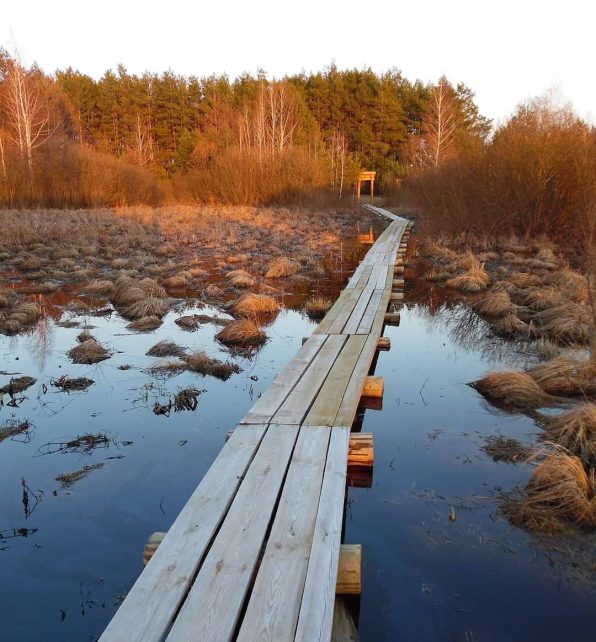 На Чернігівщині знаходиться понад 59 тисяч га унікальних водно-болотних угідь