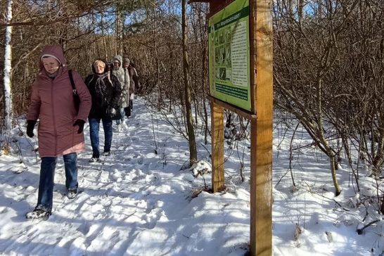 Новим маршрутом «Бобровий рай» можна пройтися на Чернігівщині (Фото)