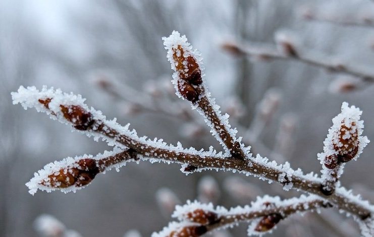 Синоптики вже знають, яким буде кінець лютого на Чернігівщині