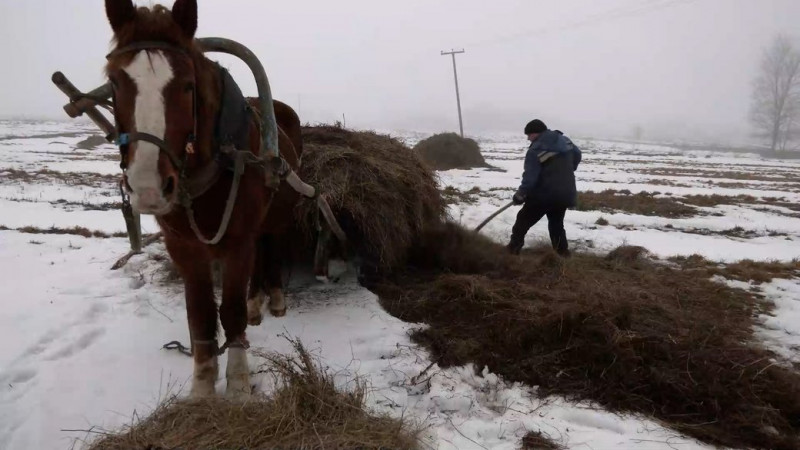 По хліб — за 10 кілометрів: один день з життя прикордонного села Кам’янська Слобода, що на Чернігівщині