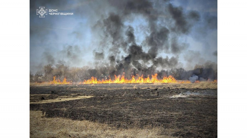 У селищі на Чернігівщині під час пожежі сухої трави загинула пенсіонерка