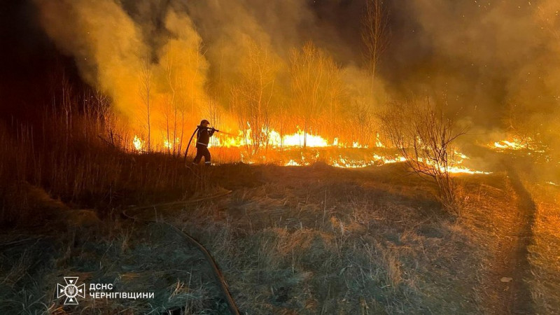 У селищі на Чернігівщині під час пожежі сухої трави загинула пенсіонерка