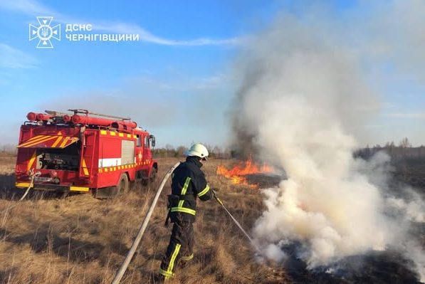 Через спалювання сухої рослинності на Чернігівщині загинула літня жінка