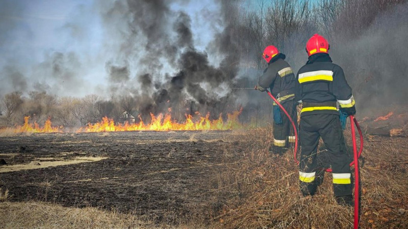 У селищі на Чернігівщині під час пожежі сухої трави загинула пенсіонерка