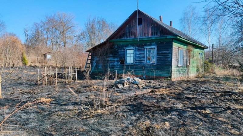 У селищі на Чернігівщині під час пожежі сухої трави загинула пенсіонерка