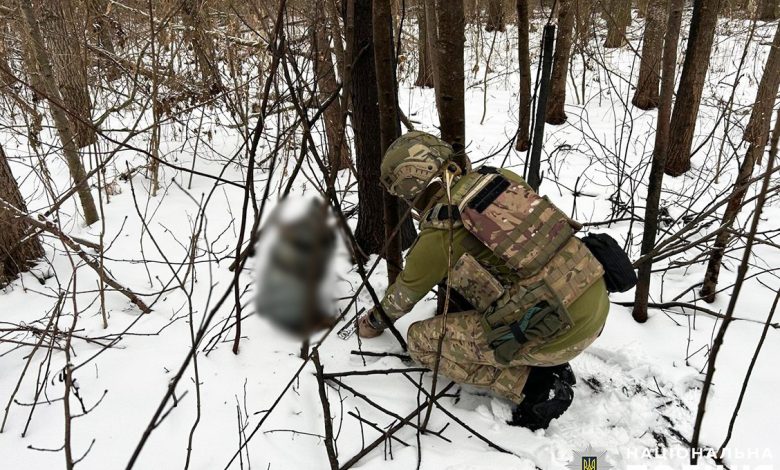 На Чернігівщині поліцейські вибухотехніки знешкодили бойову частину збитого ворожого безпілотника (Фото)