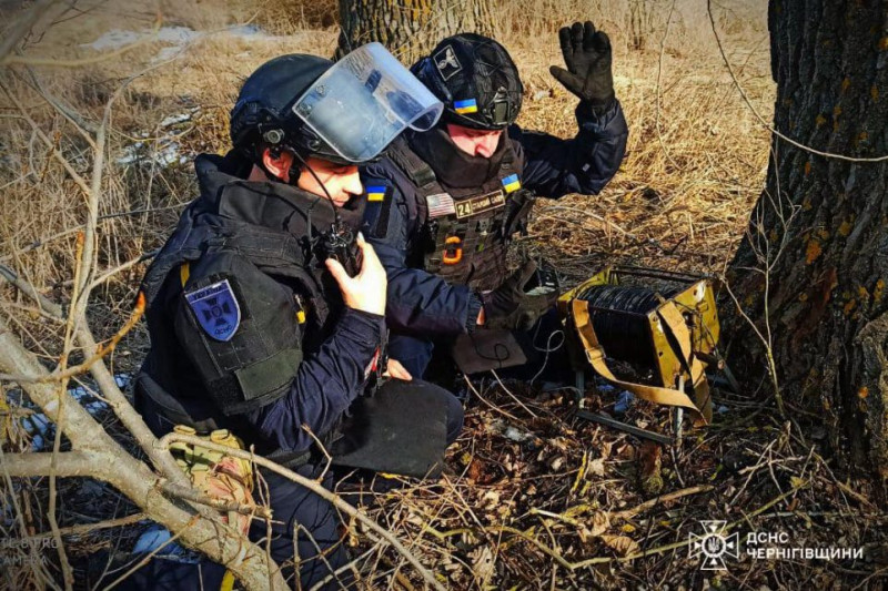 На Чернігівщині у лісі знайшли мінометну міну (Фото)