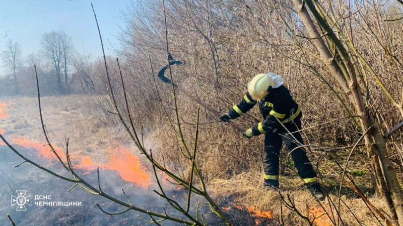 На Чернігівщині вигоріло понад 60 га територій (Фото)