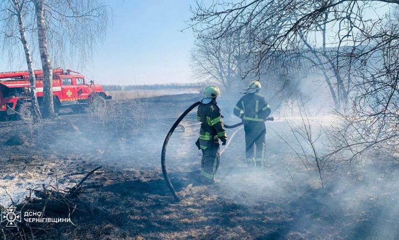 На Чернігівщині вигоріло понад 60 га територій (Фото)