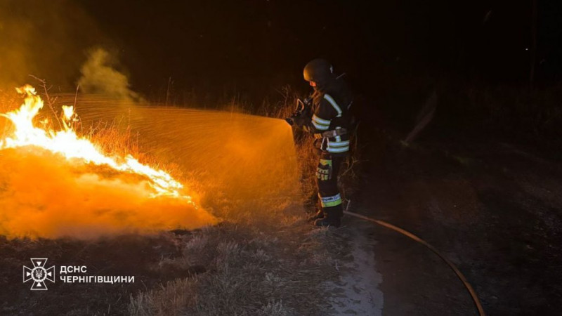 На Чернігівщині вигоріло понад 60 га територій (Фото)