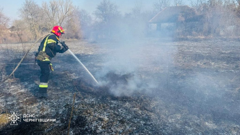 На Чернігівщині вигоріло понад 60 га територій (Фото)