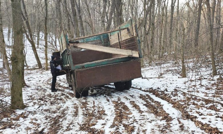 На Прилуччині поліцейські розслідують кримінальне провадження за фактом незаконної порубки дубів (Фото)