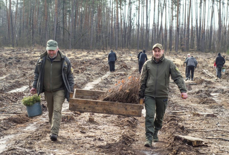 Попри небезпеку обстрілів на прикордонні Чернігівщини почали заліснювати території (Фото, Відео)