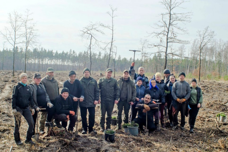 Попри небезпеку обстрілів на прикордонні Чернігівщини почали заліснювати території (Фото, Відео)