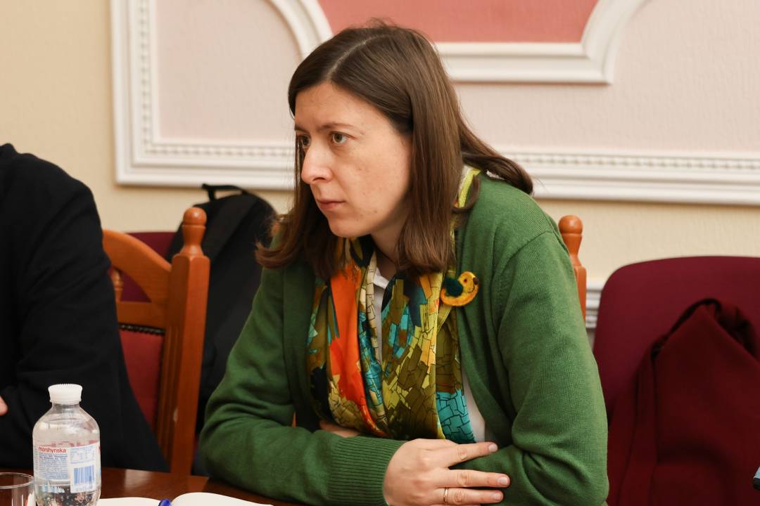 Проєкт «Стійкість»: Чернігів планує долучитися до ініціативи Expertise France