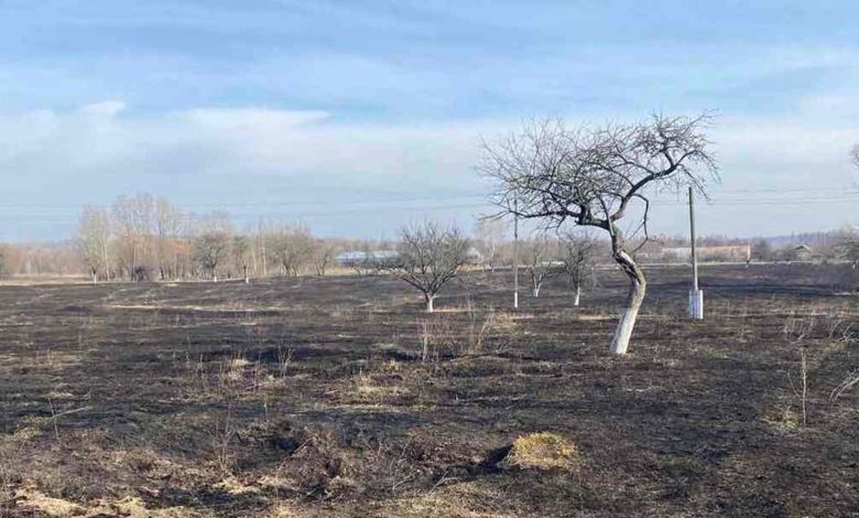 Спалення сухої трави поблизу школи: ситуація в громаді на Чернігівщині