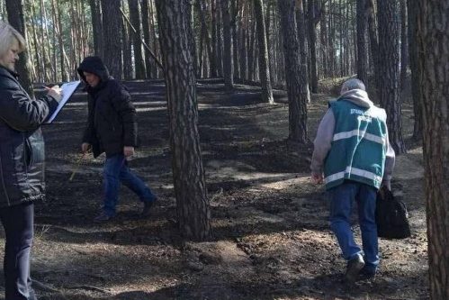 У Ялівщині сталася пожежа (Фото)